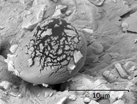 The formation of these spheres, the researchers observe, "within the mineral matrix is not easy to explain by any non-biological processes. Biology, on the other hand, can provide an elegant explanation of these structures."